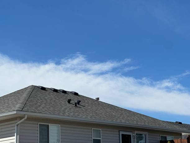 Reliable Princeville, NC Roof Repair & Installaion Solutions